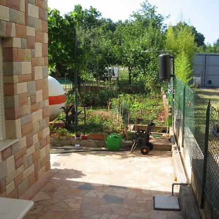Apartments Sandra Novigrad  ภายนอก รูปภาพ